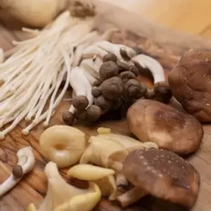 SUPERFOOD - MUSHROOM DROPS